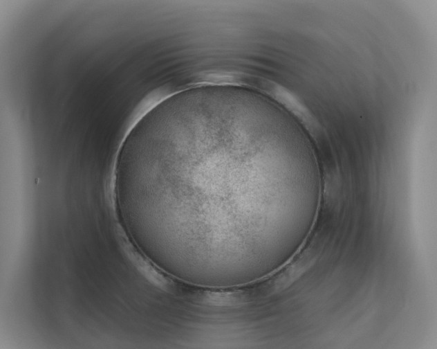 X0000110721378200906121419