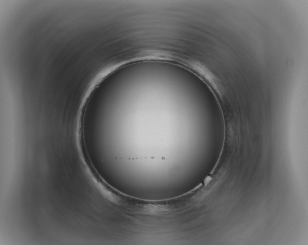 X0000110721379200906121419