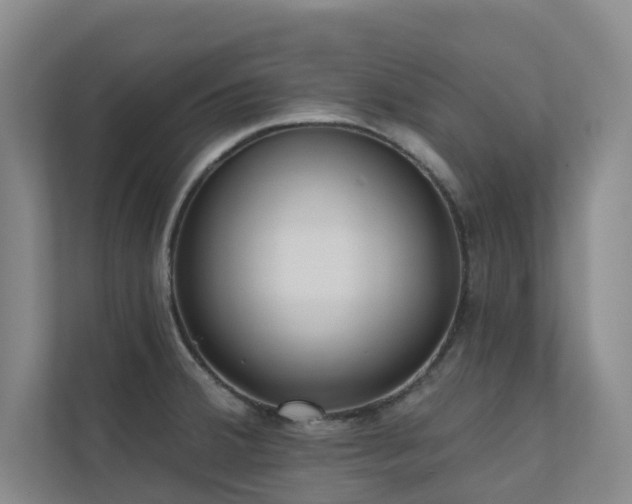 X0000110721380200906121419