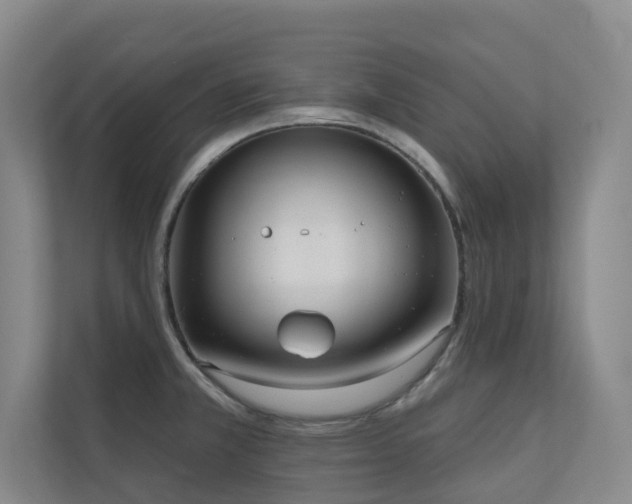 X0000110721381200906121419