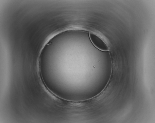 X0000110721382200906121419