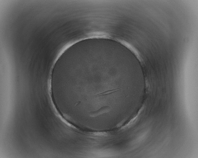 X0000110721383200906121419