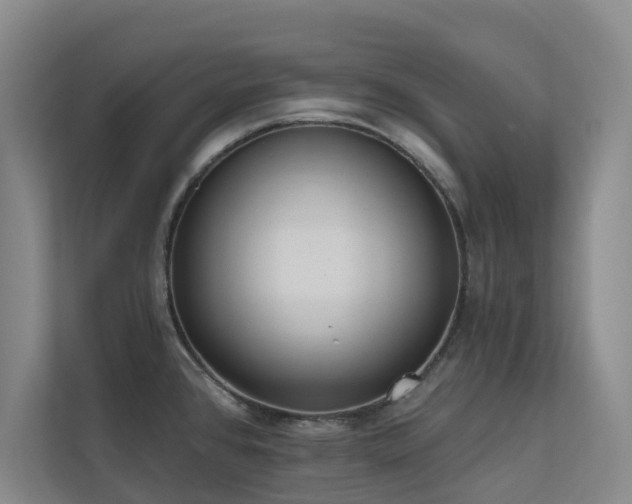 X0000110721384200906121419