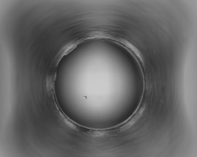 X0000110721385200906121419