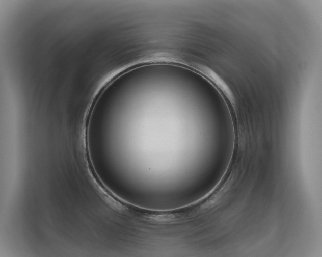 X0000110721388200906121419