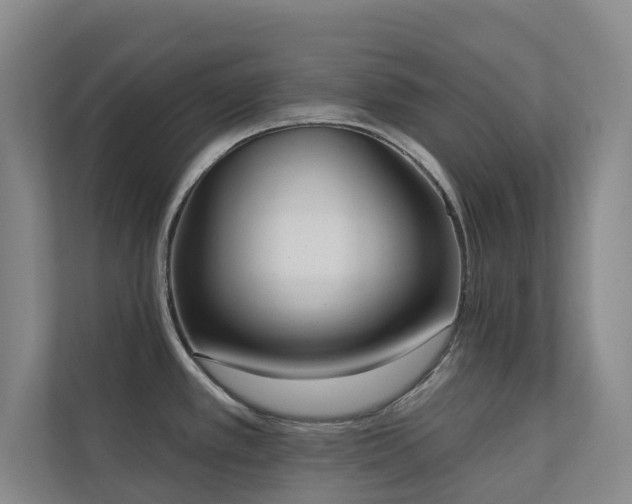 X0000110721389200906121419
