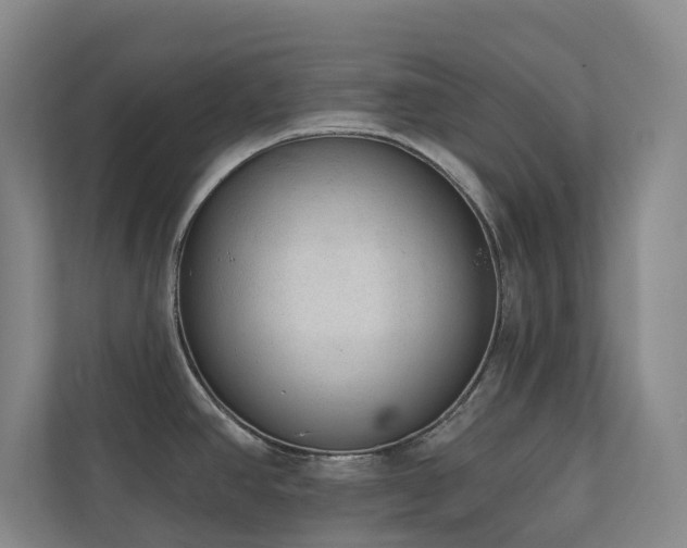 X0000110721390200906121419