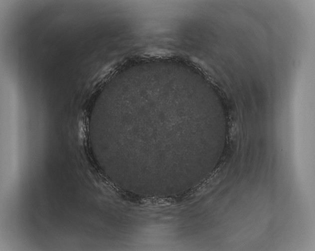 X0000110721397200906121418