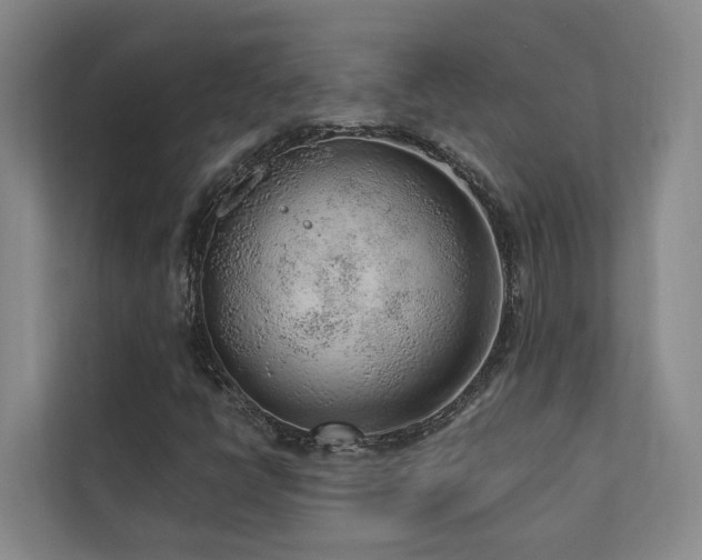 X0000110721398200906121418