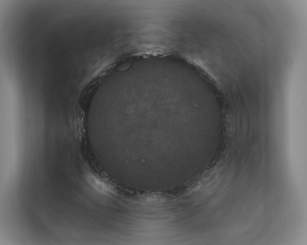 X0000110721399200906121419