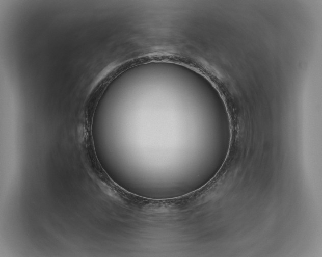 X0000110721400200906121419