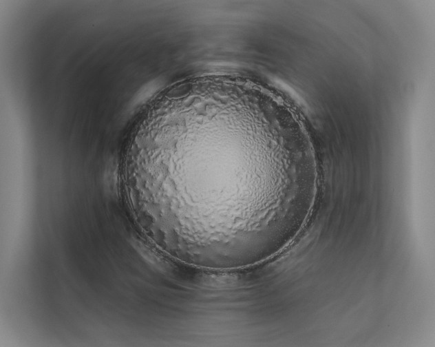 X0000110721403200906121419