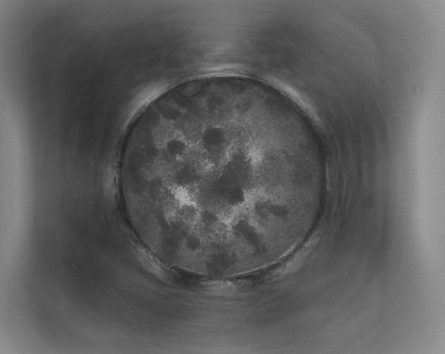 X0000110721405200906121419