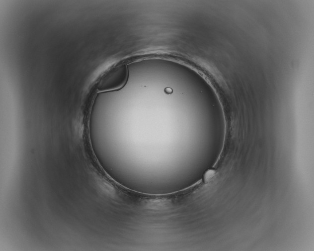X0000110721406200906121419