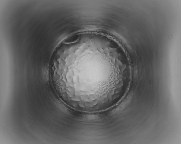 X0000110721409200906121419