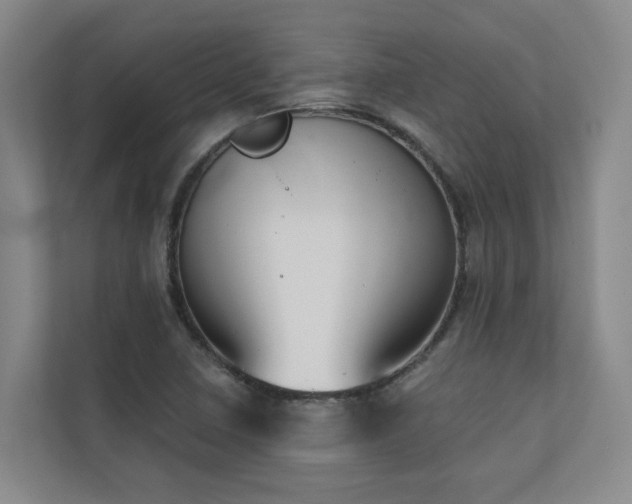 X0000110721410200906121419