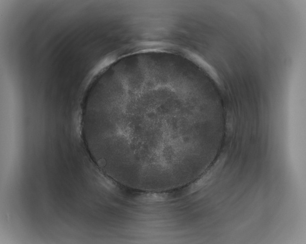 X0000110721411200906121419