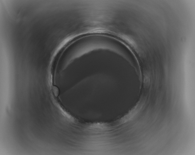 X0000110721414200906121419