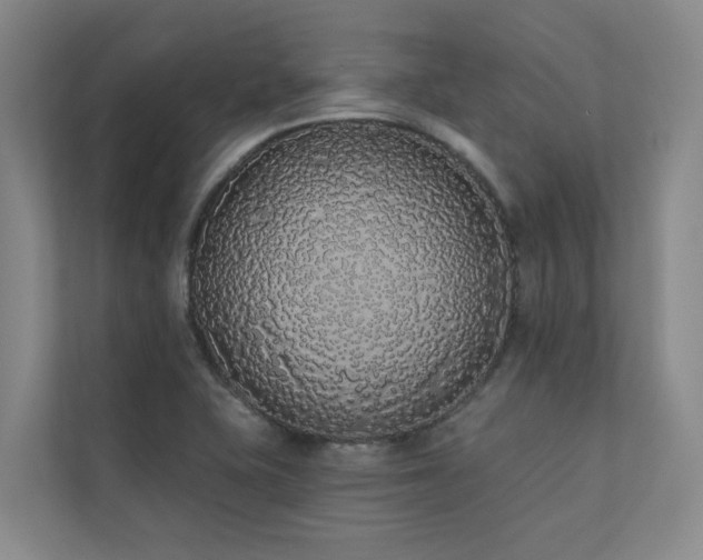 X0000110721415200906121419