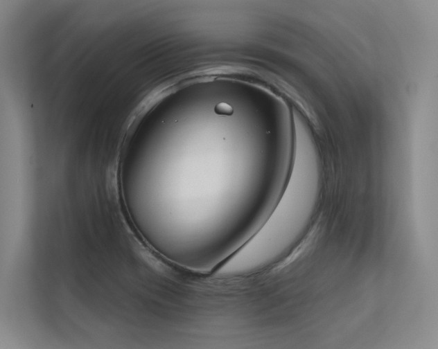 X0000110721417200906121419