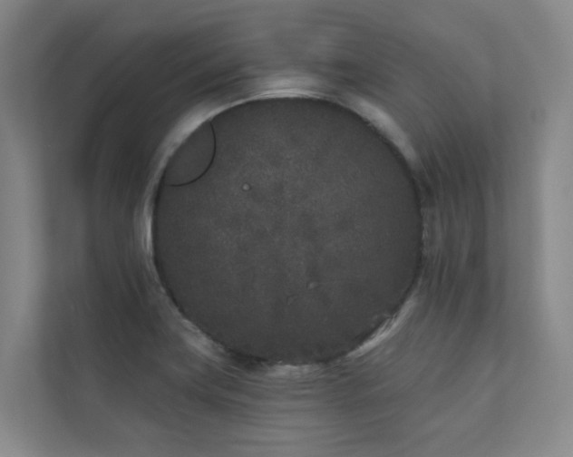 X0000110721419200906121419