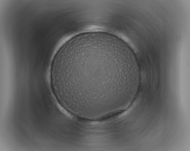 X0000110721421200906121419
