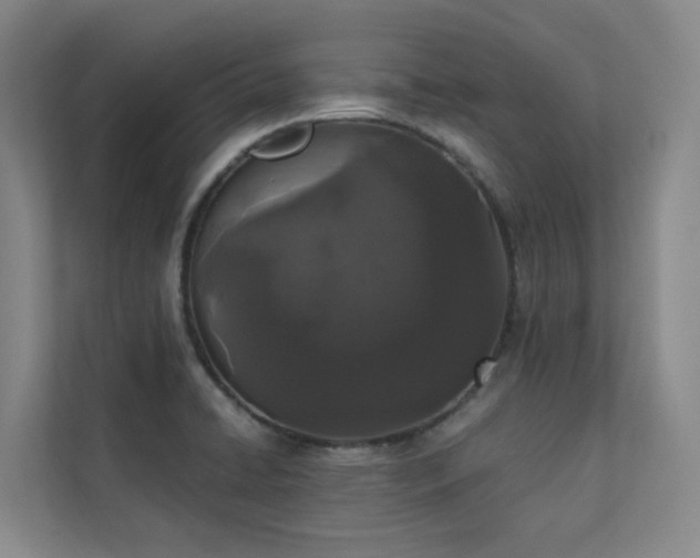 X0000110721422200906121419
