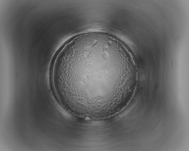 X0000110721423200906121419