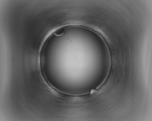 X0000110721424200906121419