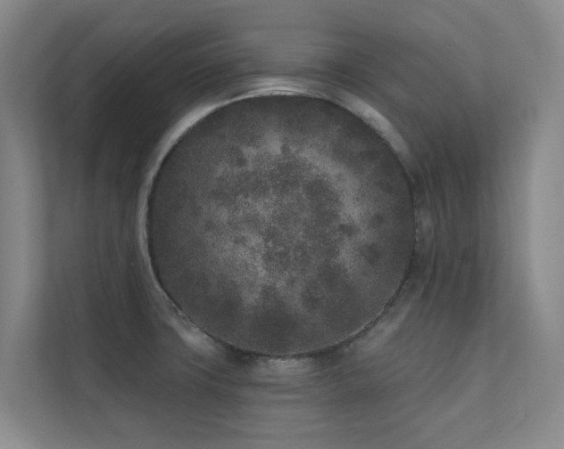 X0000110721427200906121419