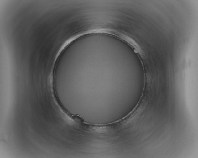 X0000110721428200906121419