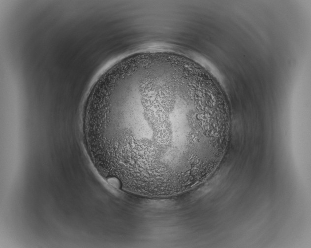 X0000110721429200906121419
