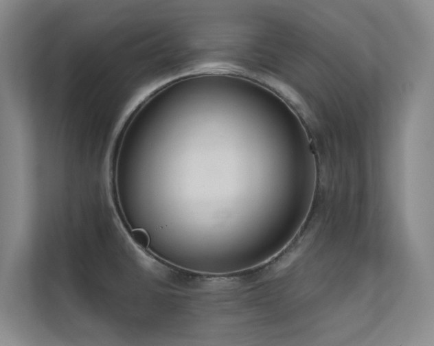 X0000110721430200906121419
