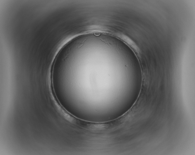 X0000110721431200906121419
