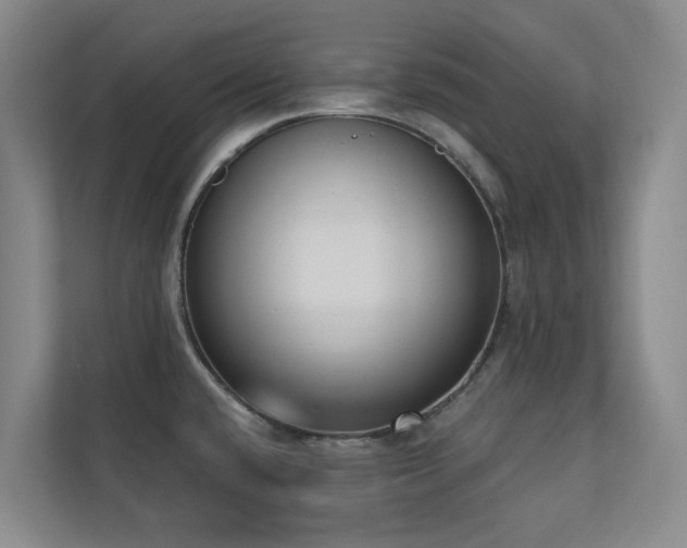 X0000110721432200906121419