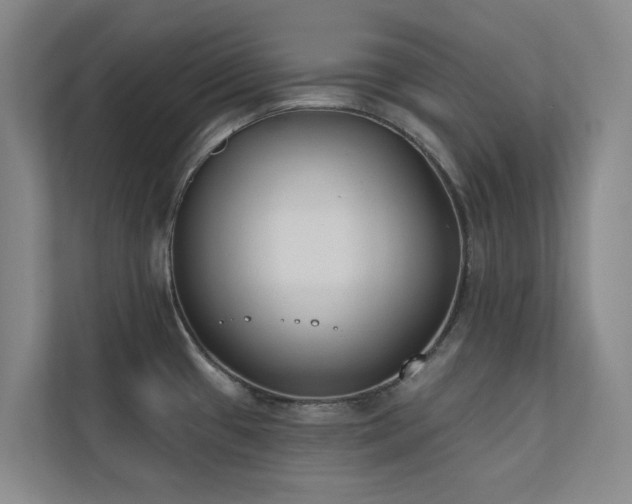 X0000110721433200906121419