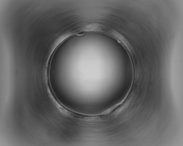 X0000110721434200906121419
