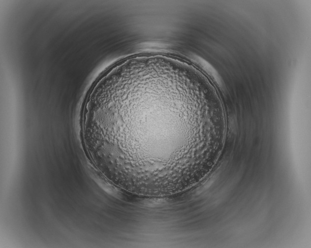 X0000110721435200906121419