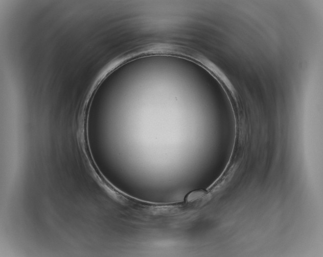 X0000110721437200906121419