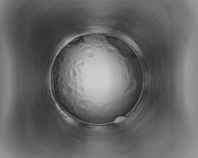 X0000110721439200906121419