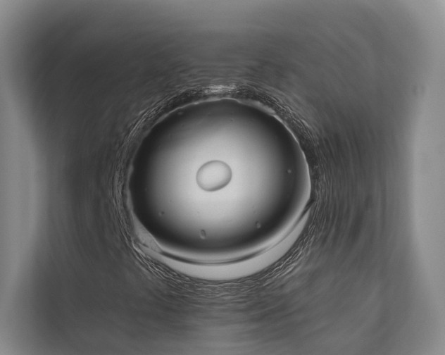X0000110721441200906121418