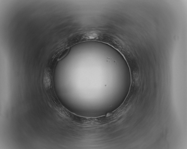 X0000110721442200906121418