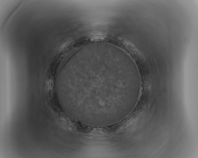 X0000110721445200906121418
