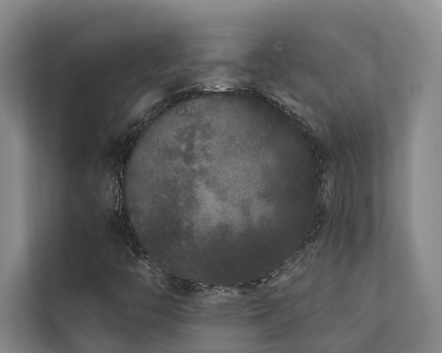 X0000110721446200906121418