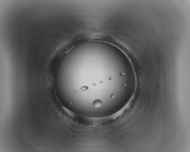 X0000110721447200906121418
