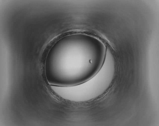 X0000110721448200906121418