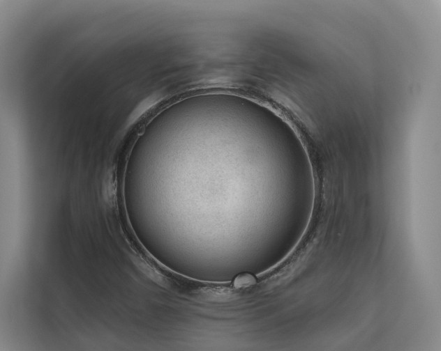 X0000110721450200906121418