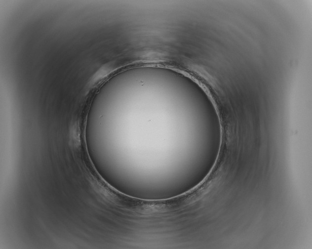 X0000110721451200906121418