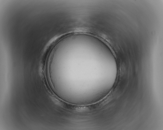 X0000110721454200906121418