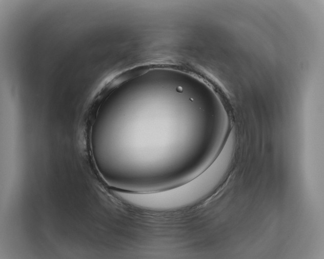 X0000110721455200906121418